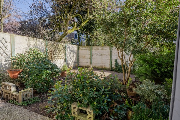 Medium property photo - Wolfhezestraat 52, 2573 NX Den Haag